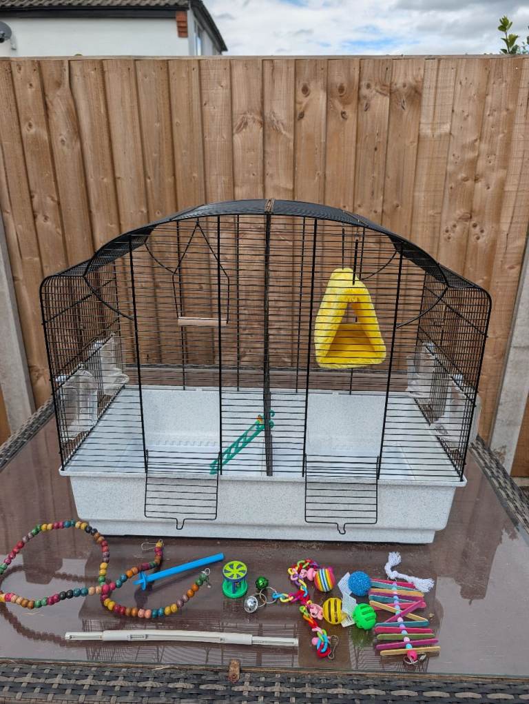 Bird Cage and accessories