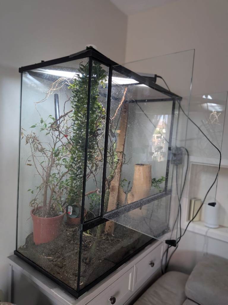 Huge terrainium 
