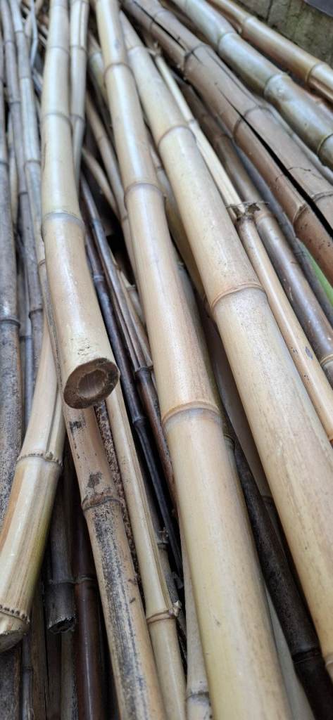 Natural Bamboo Canes – Various Lengths, Good Condition