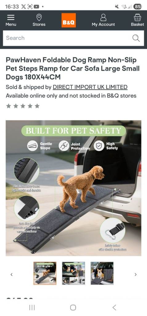 Pawhaven BNIB large non slip pet ramp for cars, outdoor steps 