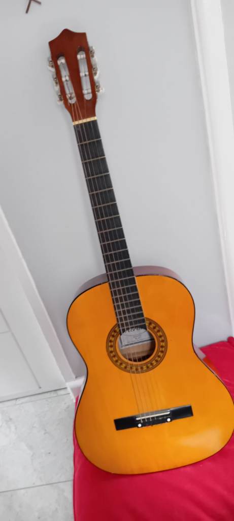 Herald Acoustic Guitar Model HL44 John Hornby Skewes co ltd 