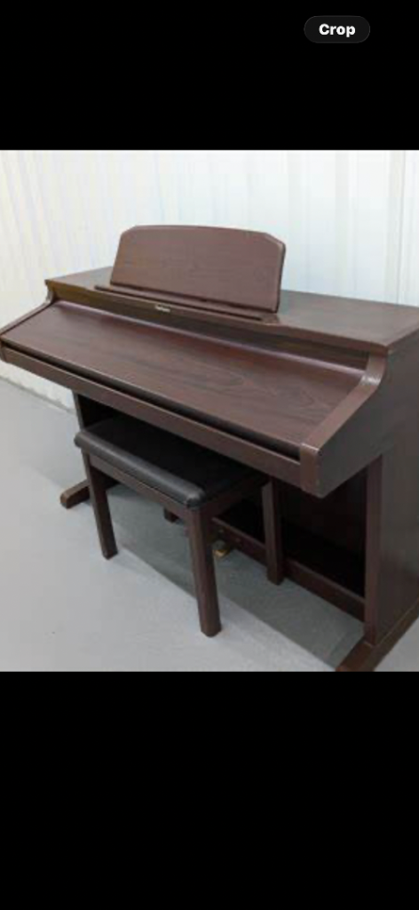 Technics SX-PX336 Digital Piano 