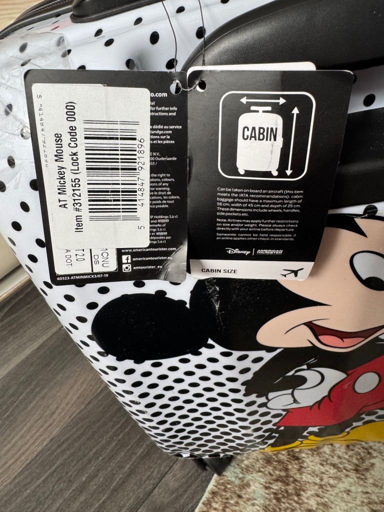 American tourist Kids hand luggage Disney