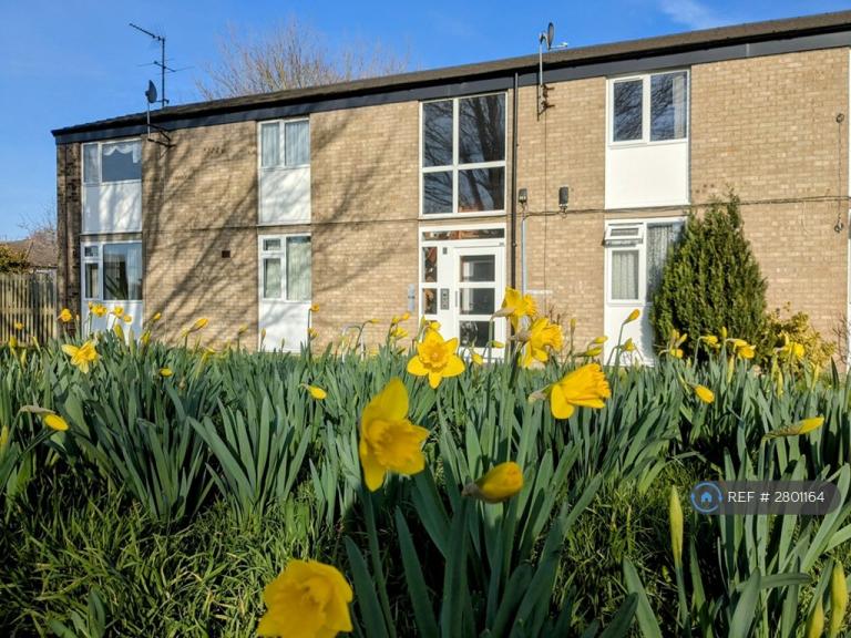 1 bedroom flat in Headford Close, Cambridge, CB5 (1 bed) (#2801164)