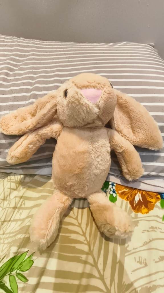 Plush Bunny Rabbit 