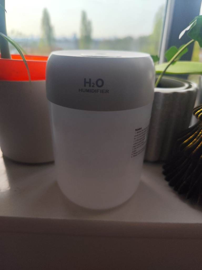 Small room humidifier and scent