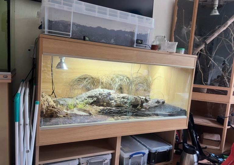 Complete 4x2x2 Vivarium Reptile With Heating and UVB