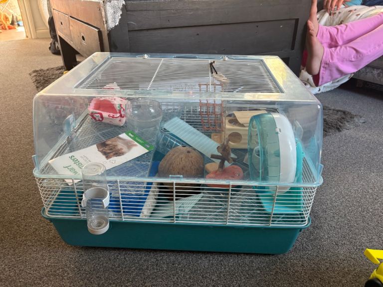 Hamster cage 