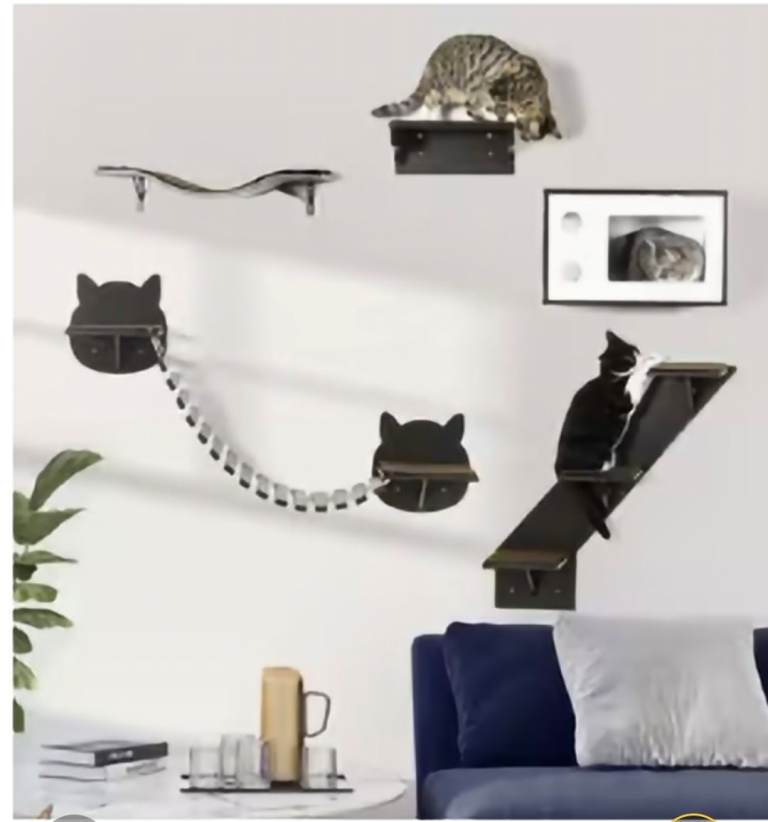 Wall obstacle course for cats