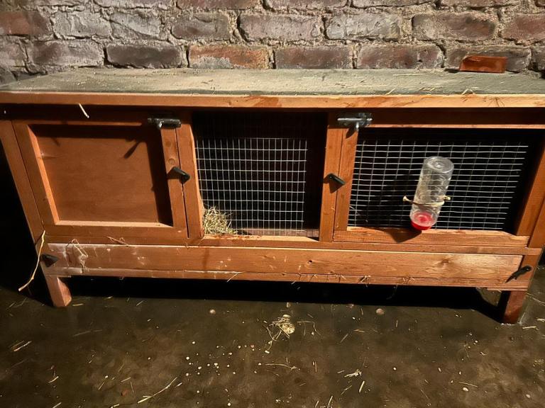 Small animal hutch