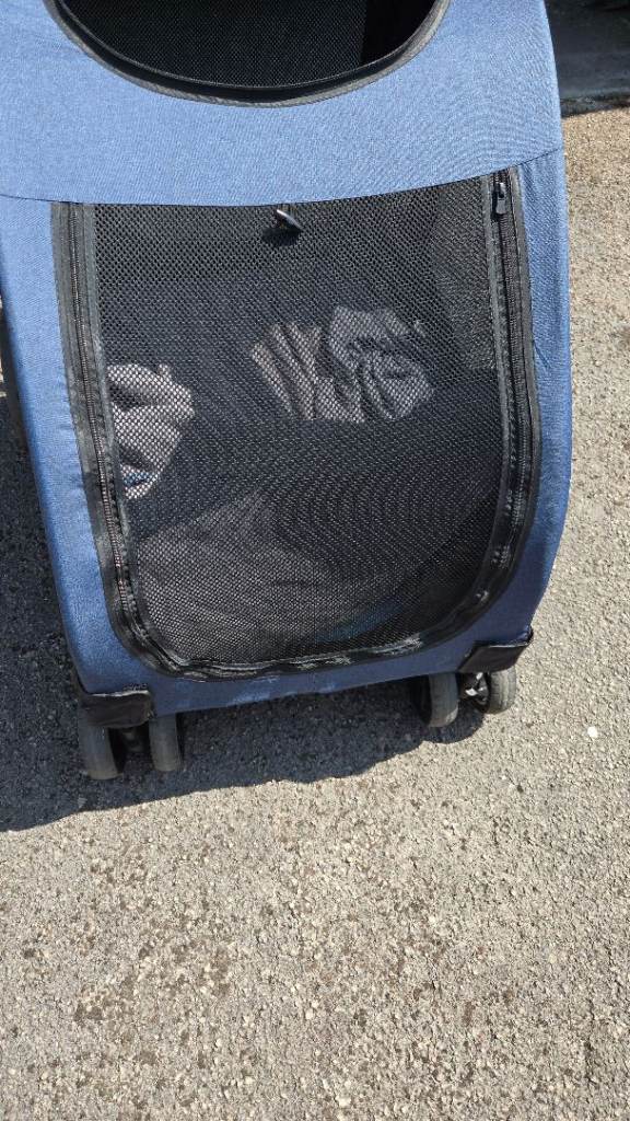 Dog stroller for sale