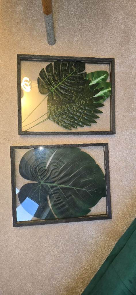 NOW GONE Free 2x Glass Double Side picture frames