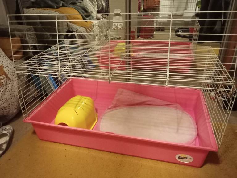 Guinea pig / Rabbit cage 