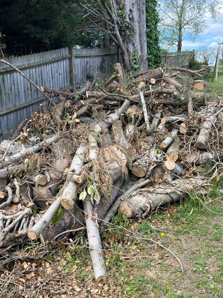 Free Firewood Logs