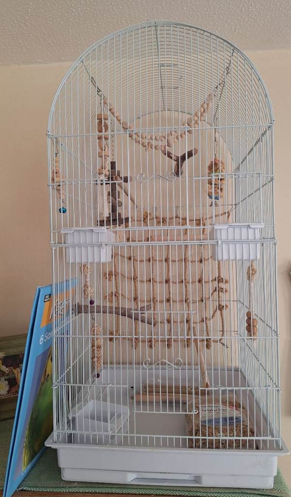 Bird cage and accessories 