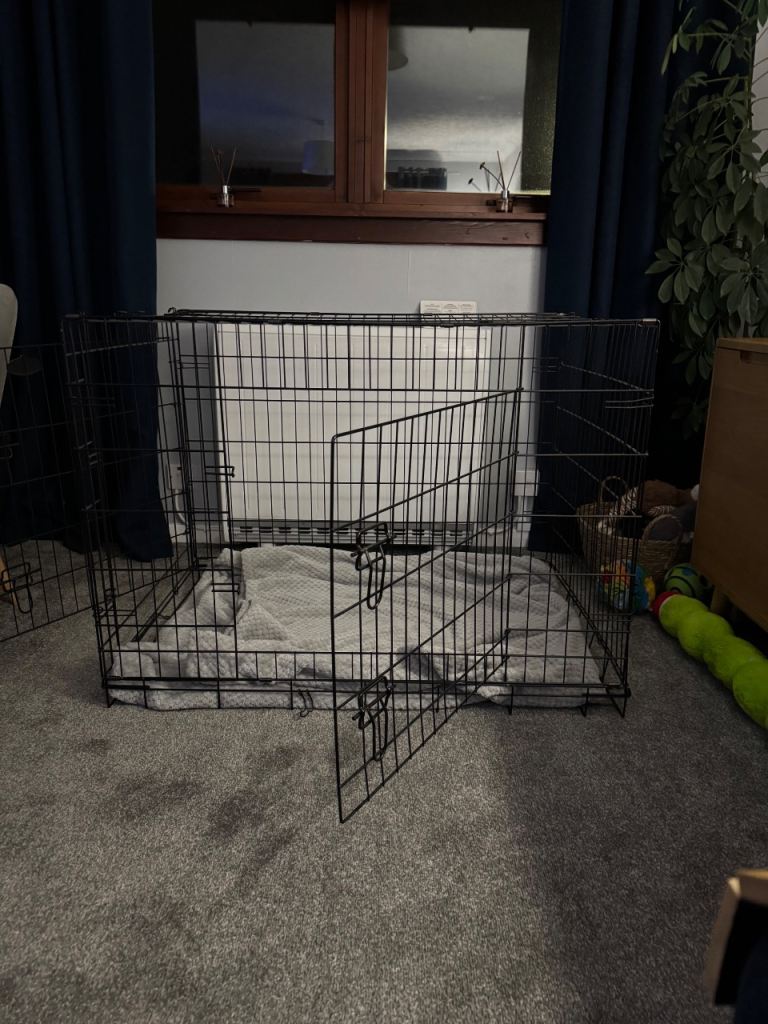 Large dog crate