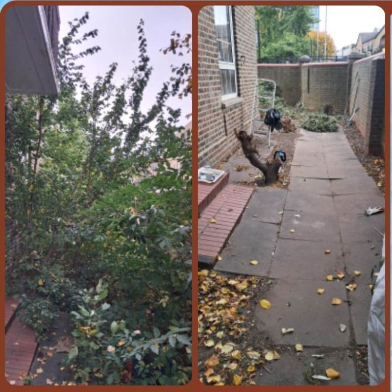 Garden Maintenance Service