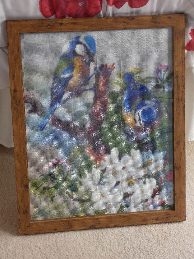 Framed Bird Diamond Picture