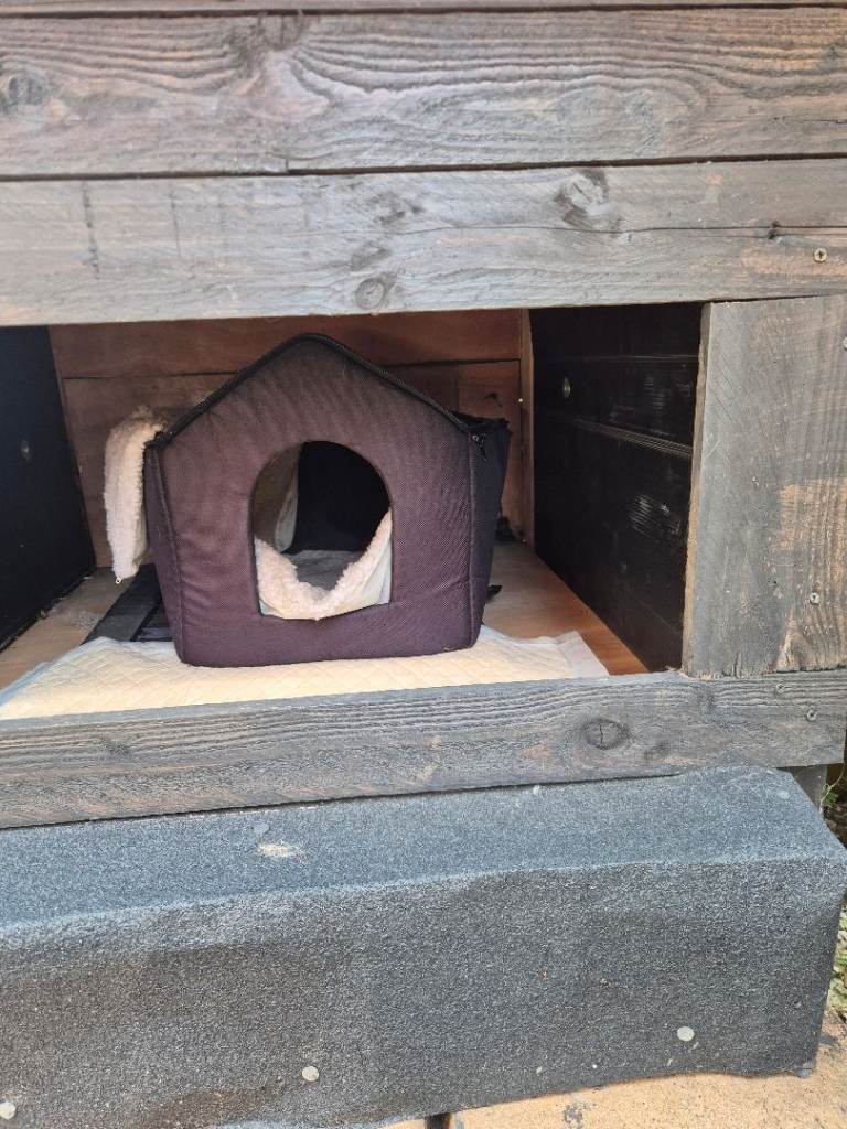 Dog kennel 