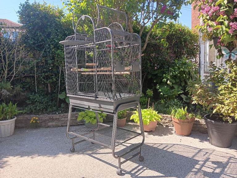 Parrot cage