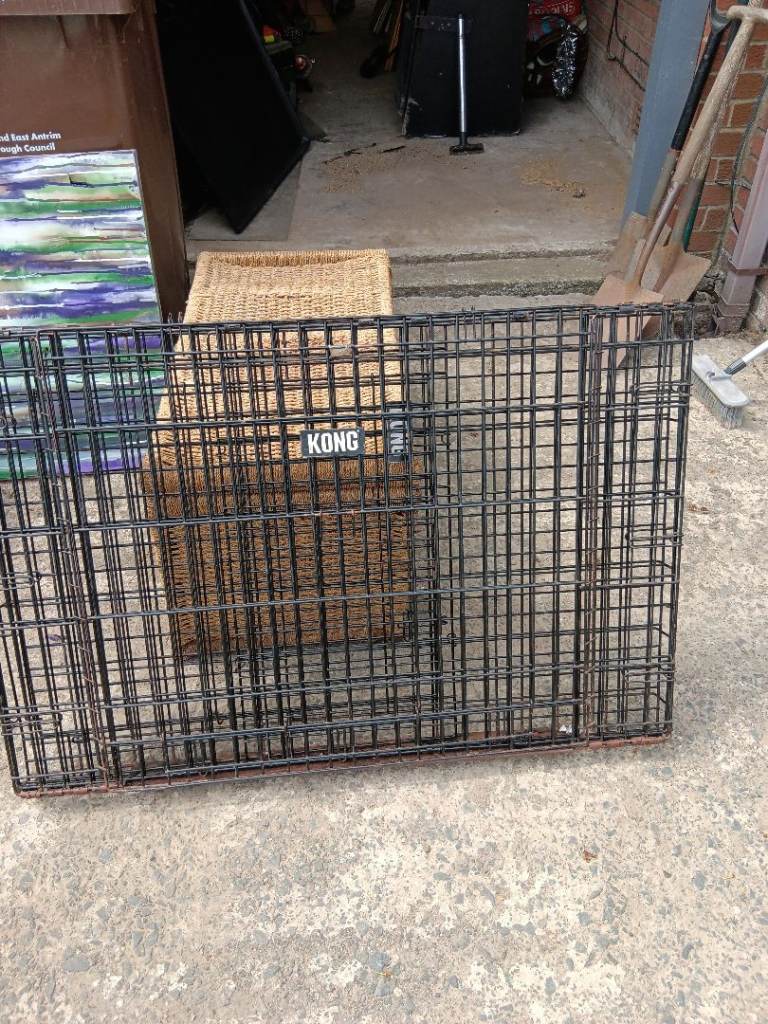 Kong dog crate 