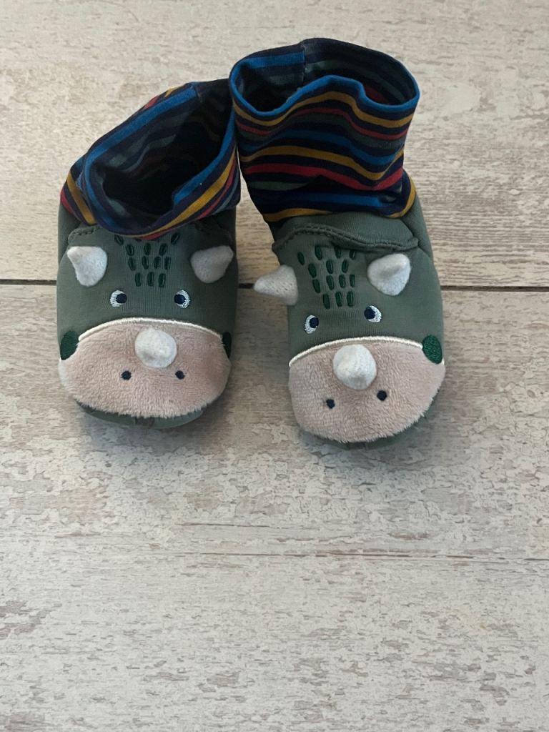 Dinosaur slippers 