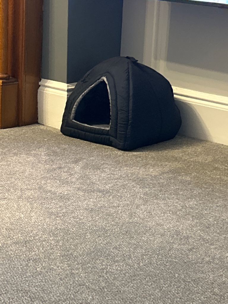 Cat teepee