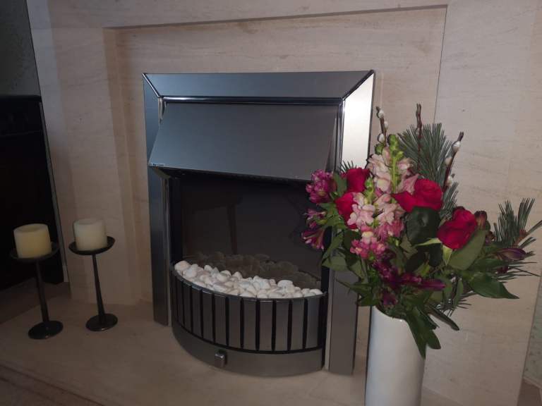 Dimplex DLS20 electric fire / fireplace heater WANTS SOME ATTENTION