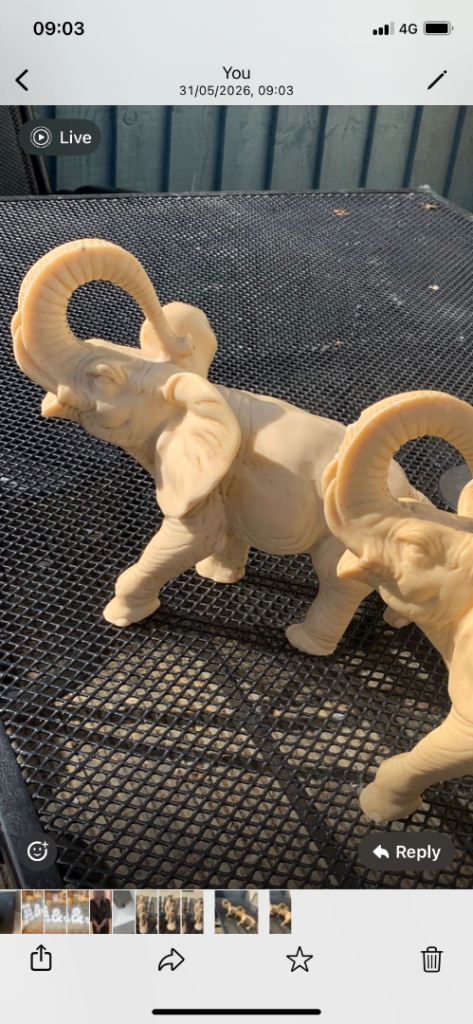 Elephant statues