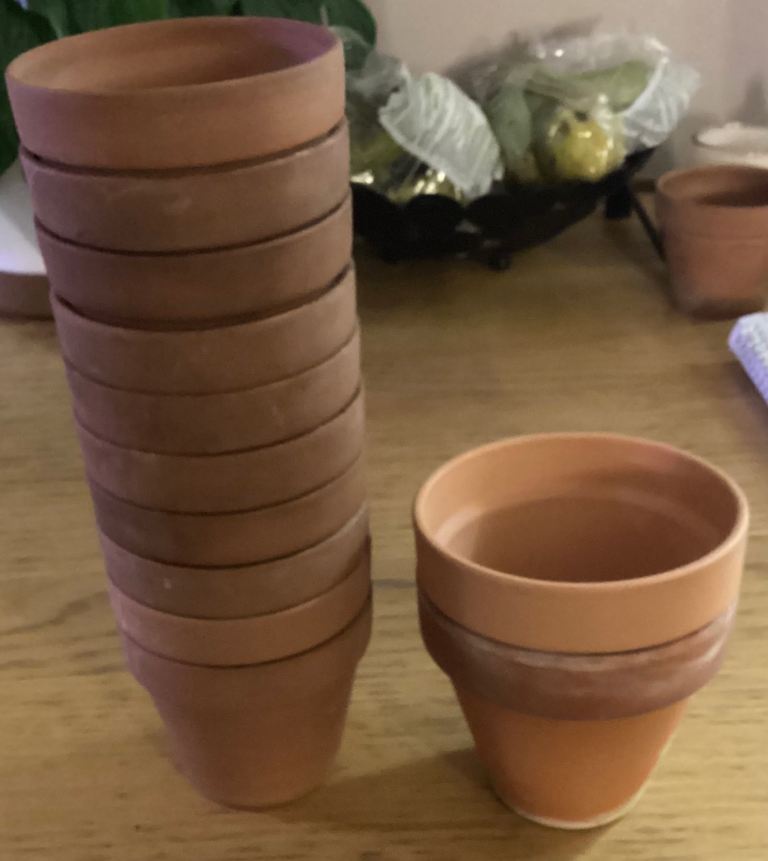 12 terracotta plant pots