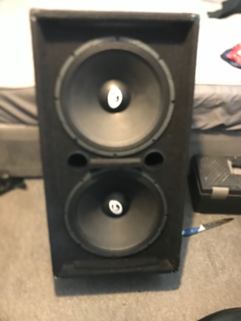 Twin 15 inch speakers in box