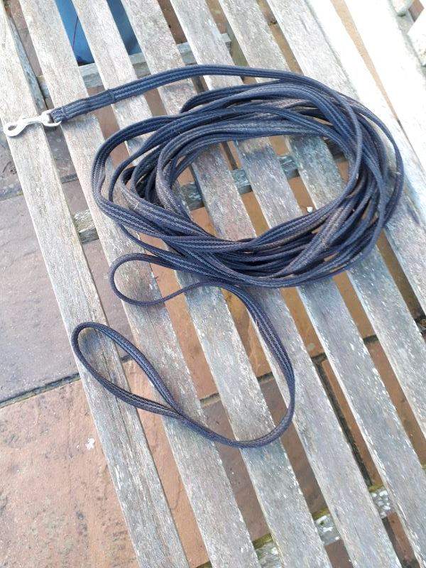 Dog longline training lead