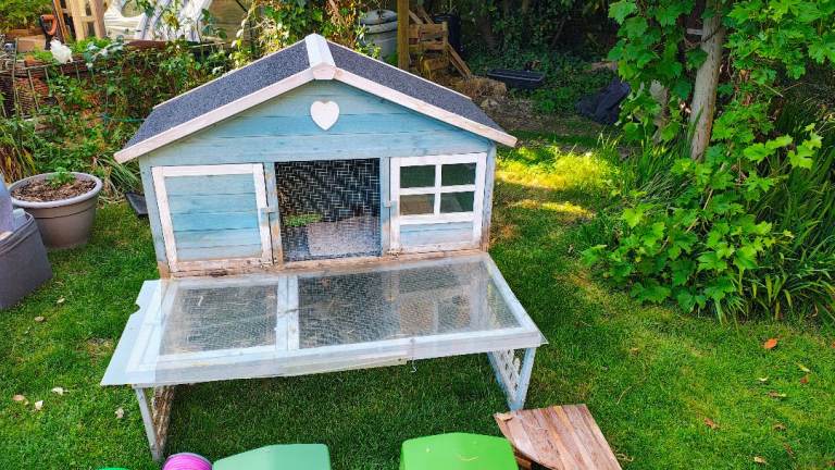 Guinea pig or rabbit outdoor hutch and accessories 
