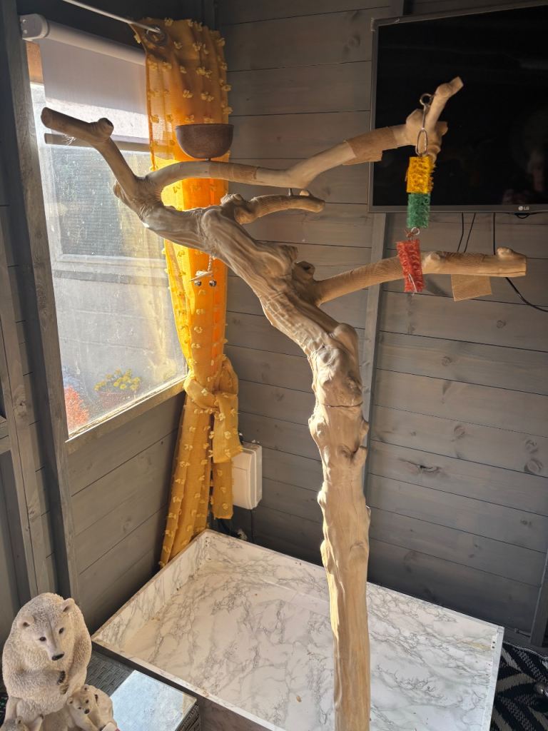 Large Natural Wood Bird Play Stand Perch with Feeder and Toys