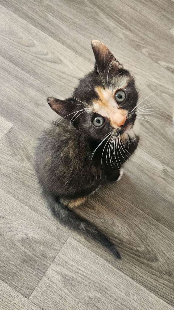 Little girl🙂