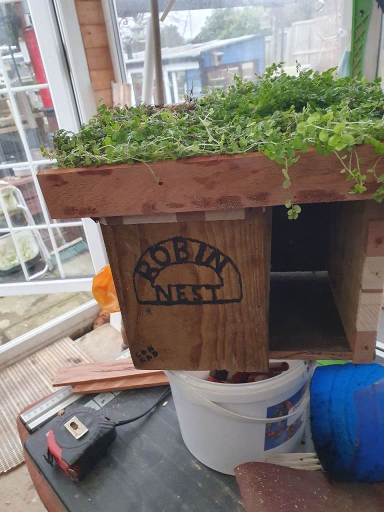 BIRD BOXES BIRD FEEDS 