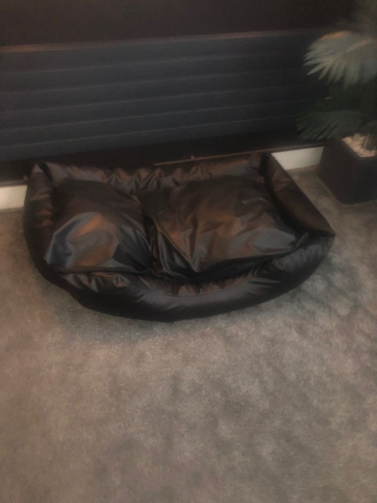 Dog bed