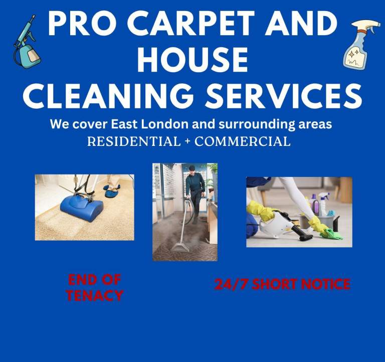 Pro deep Carpet Cleaning/General Cleaning/Jet Wash/Driveway service 