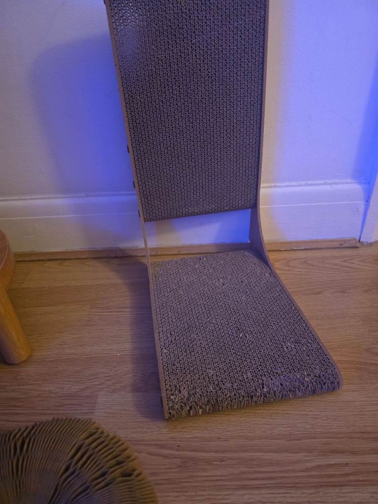  Cat scratcher