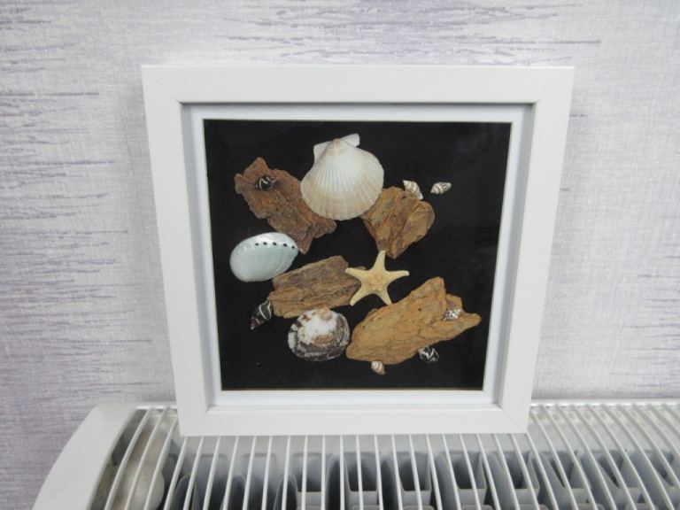 Picture - Driftwood & Shells BRAND NEW
