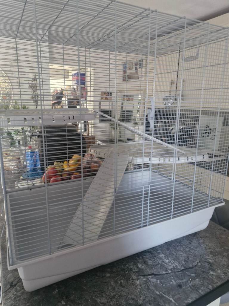 Rodent cage