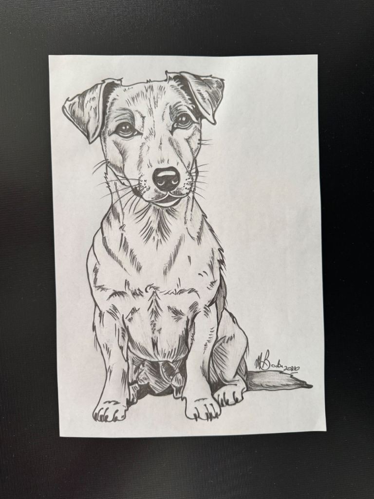 A4 Original Hand-Drawn Pencil Sketch Drawing of a Jack Russell Dog– Black and White