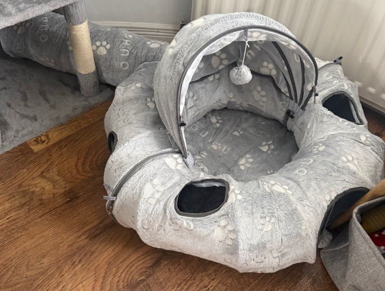 Cat dome with tunnel 