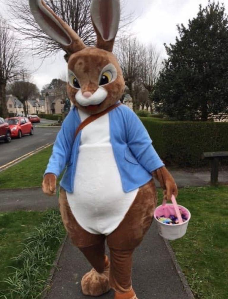 Rabbit mascot 