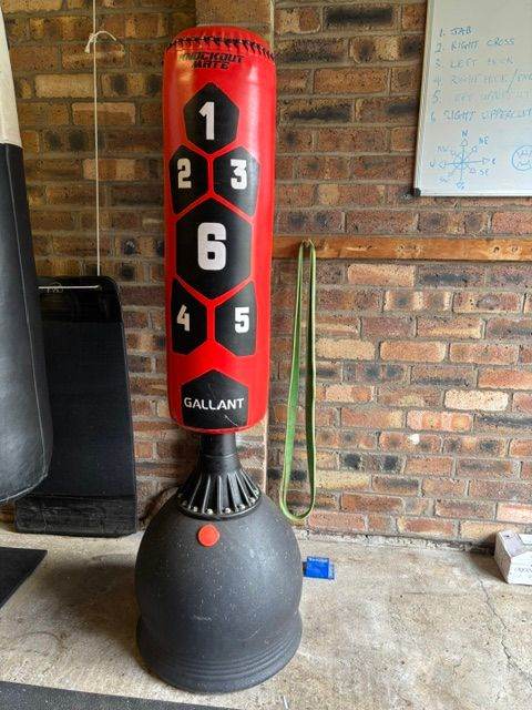 Free standing punch bag