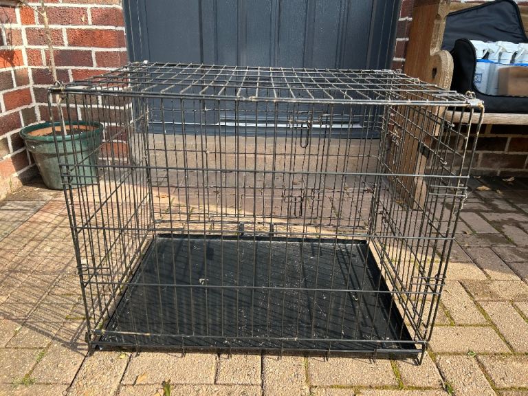 Puppy/small dog travel crate