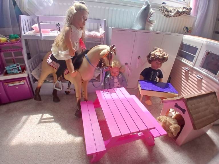 Our Generation dolls and play accessories 