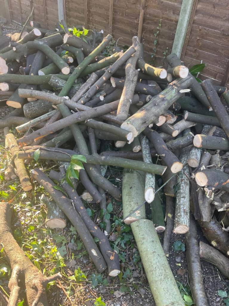 Tree cutting removal, hedges trimming 