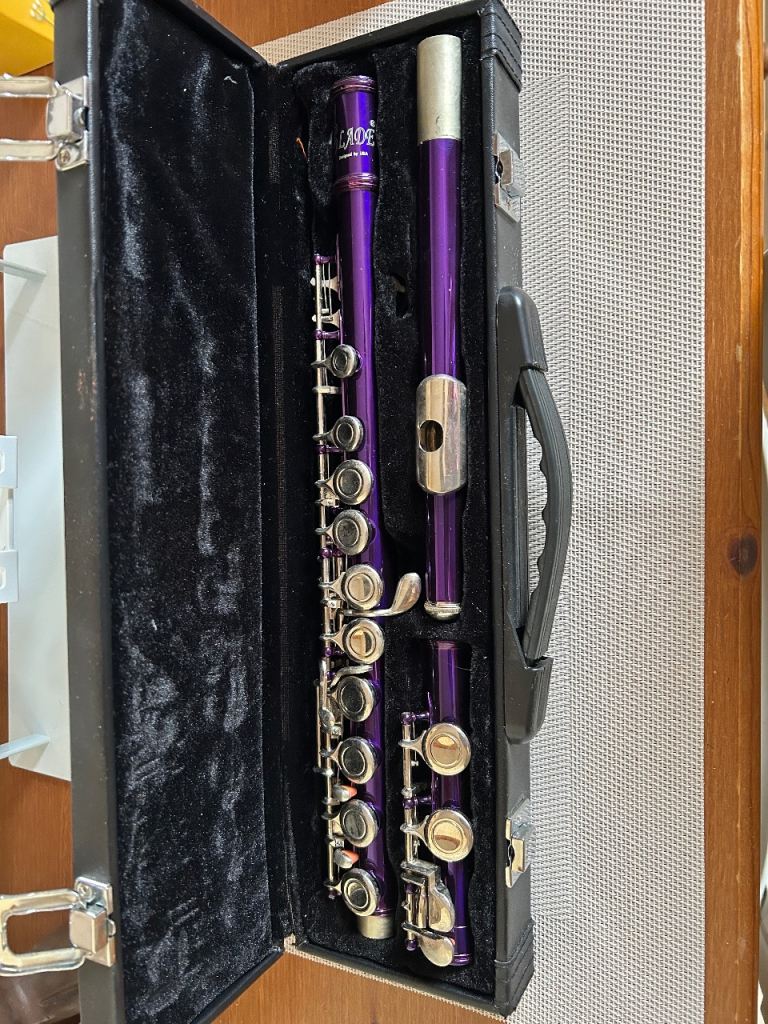 Purple Flute with Case – Good Condition, Fully Functional