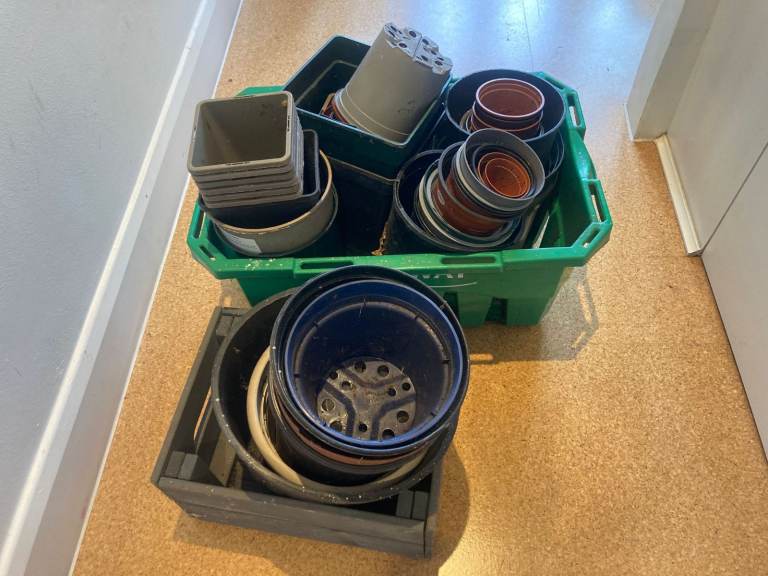 Plant pots